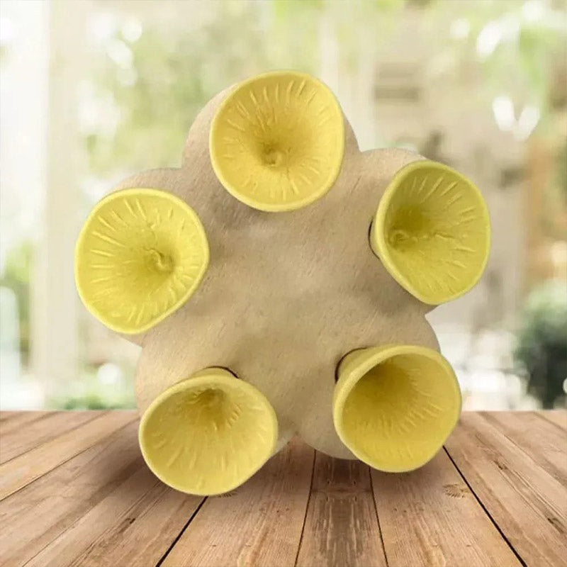 Shirem™ Blossom Water Cups