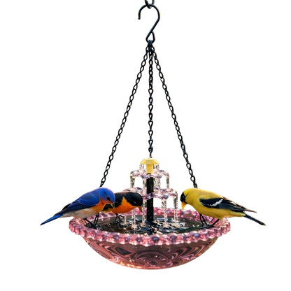 Shirem Bird Spa